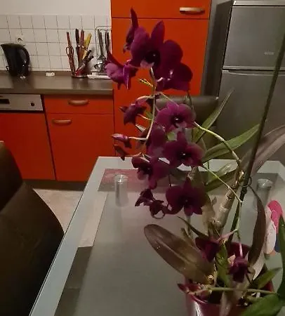 Moblierte 3- Zimmer- Im Herzen Von Schwandorf!!! Daire Schwandorf in Bayern